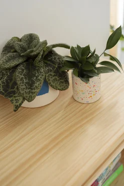 Muebles LUFE Estanterías Básicas^AIKA estantería baja 157x128